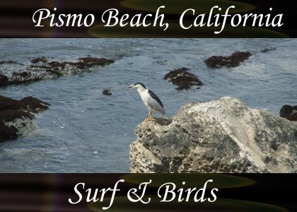 SoundScenes - Atmo-CA - Pismo Beach, Surf and Birds
