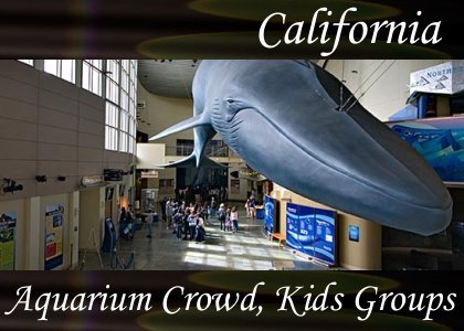 SoundScenes - Atmo-California - Aquarium Crowd, Kids Groups