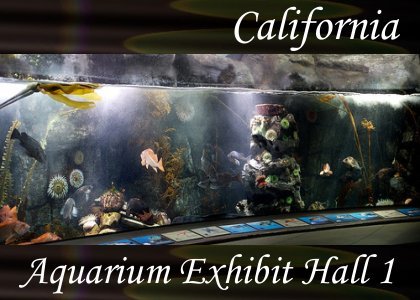 SoundScenes - Atmo-California - Aquarium Exhibit Hall 1
