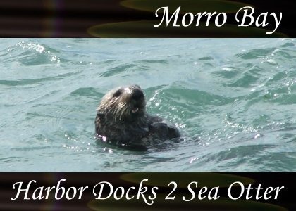 Harbor Docks 2, Sea Otter