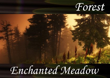 SoundScenes - Atmo-Forests - Enchanted Meadow