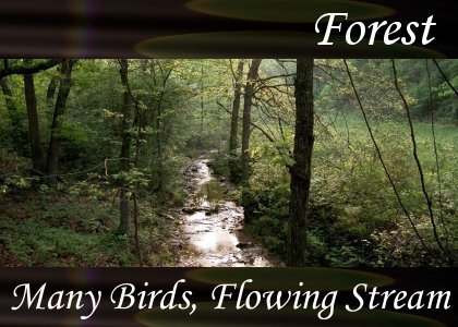 Many Birds, Flowing Stream
