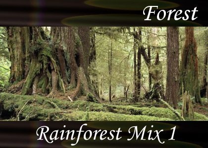 Rainforest Mix 1
