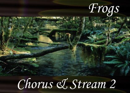 SoundScenes - Atmo-Frogs - Chorus and Stream 2