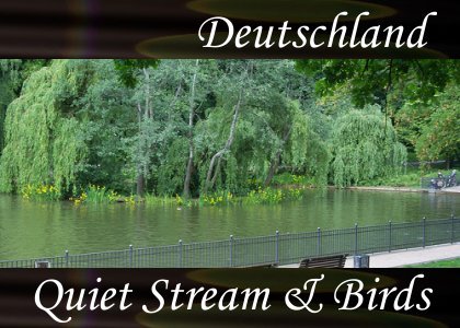 SoundScenes - Atmo-Germany - Deutschland, Quiet Stream and Birds