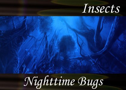Nighttime Bugs