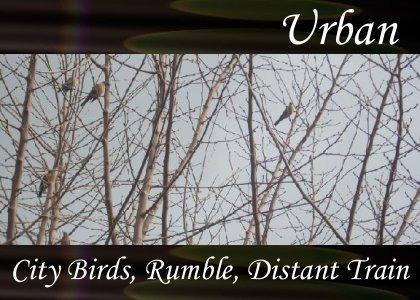SoundScenes - Atmo-Urban - City Birds, Rumble, Distant Train