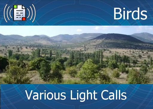 km-atmo-birds – various light calls