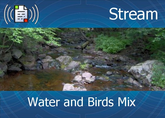 km-atmo-stream – water and birds mix