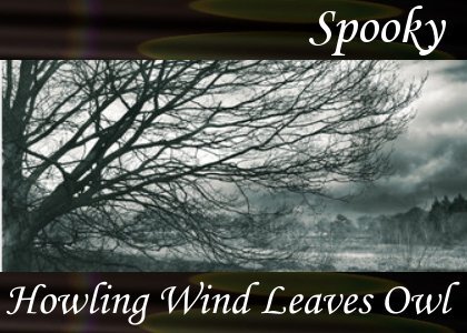 Howling Wind, Leaves, Owl 1:20