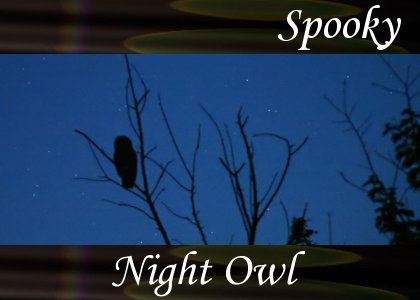 Night Owl 1:20
