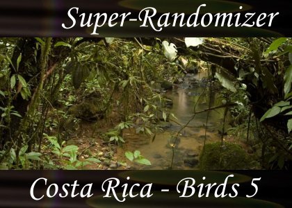 SoundScenes - Super Randomizer - Costa Rica - Birds Set 5