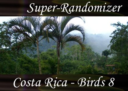 SoundScenes - Super Randomizer - Costa Rica - Birds Set 8
