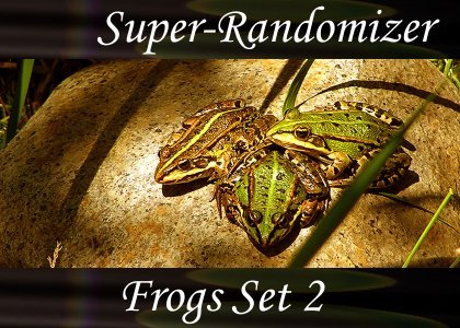 SoundScenes - Super Randomizer - Frogs Set 2