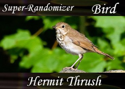 SoundScenes - Super Randomizer - Nature - Hermit Thrush