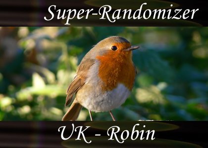 Robin (35 Sounds)