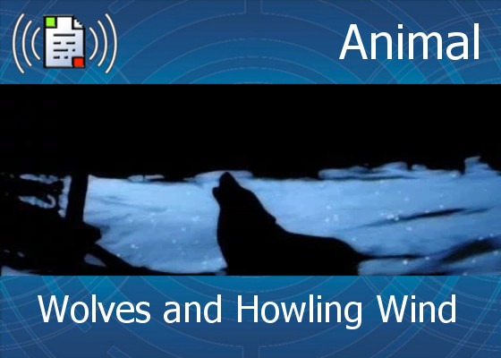 km-atmo-animal – wolves and howling wind